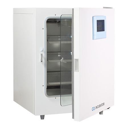 CO2培养箱二氧化碳培养箱BPN-80RHP